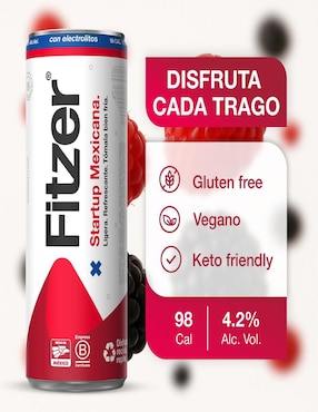 Cocktail Hard Seltzer Fitzer sabor frutal 355 ml