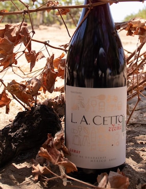 Set vino tinto La Cetto Gamay 750 ml