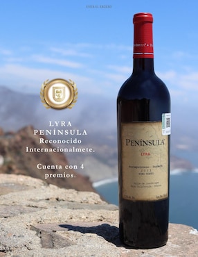 Set vino tinto La Cetto Península montepulciano 750 ml