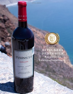 Set vino tinto La Cetto Península Aglianico 750 ml