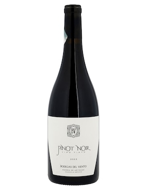 Vino tinto pinot noir Bodegas del Viento México 750 ml