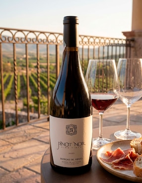 Vino tinto pinot noir Bodegas del Viento México 750 ml