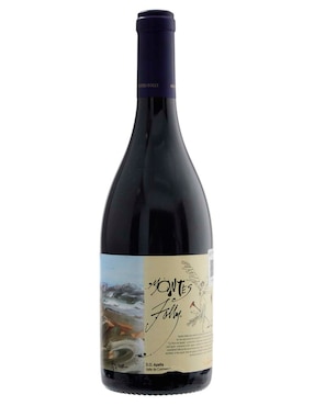 Vino tinto shiraz Montes Folly Chile 750 ml