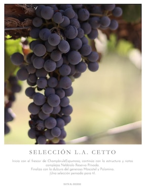 Set de vino espumoso chardonnay La Cetto México