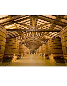 Vino tinto Cune Crianza tempranillo