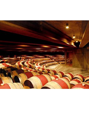 Vino tinto Viña Montes merlot