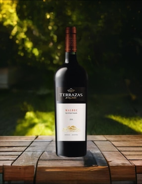 Vino tinto Terrazas De Los Andes malbec