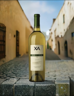 Vino blanco XA Chardonnay