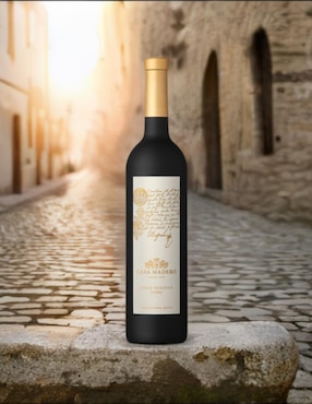Vino tinto Casa Madero Gran Reserva Shiraz shiraz