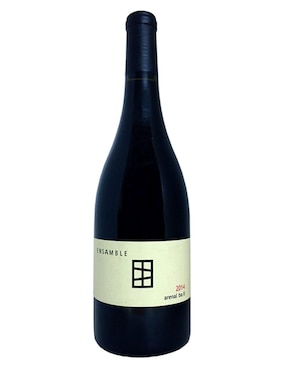 Imagen de producto Vino tinto Ensamble Aren cabernet-merlot 750 ml
