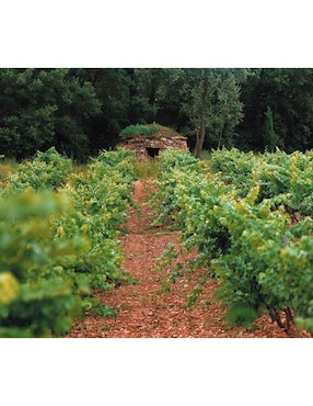Vino Tinto Abadal Cabernet Tempranillo 750 ml
