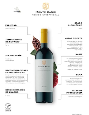 Vino tinto Monte Xanic merlot 750 ml