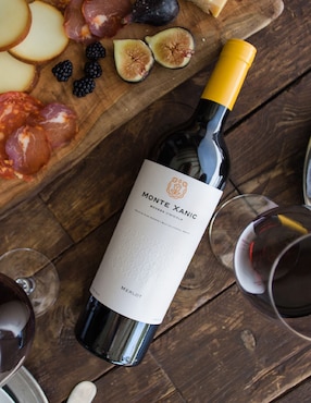 Vino tinto Monte Xanic merlot 750 ml