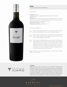 Vino tinto Icaro Cabernet Sauvignon 750 ml