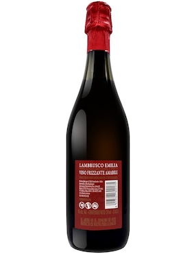 Vino tinto Umberto Cesari Estefanya lambrusco 750 ml