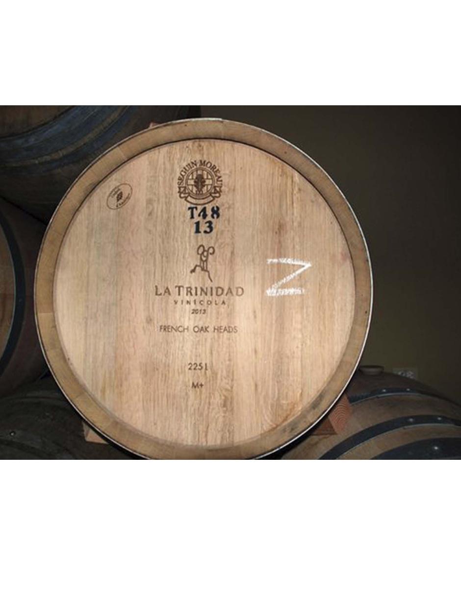 Vino tinto Minotauro zinfandel 4