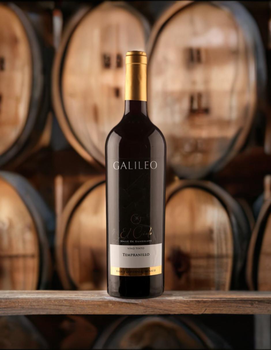 Vino tinto Galileo tempranillo 750 ml 2