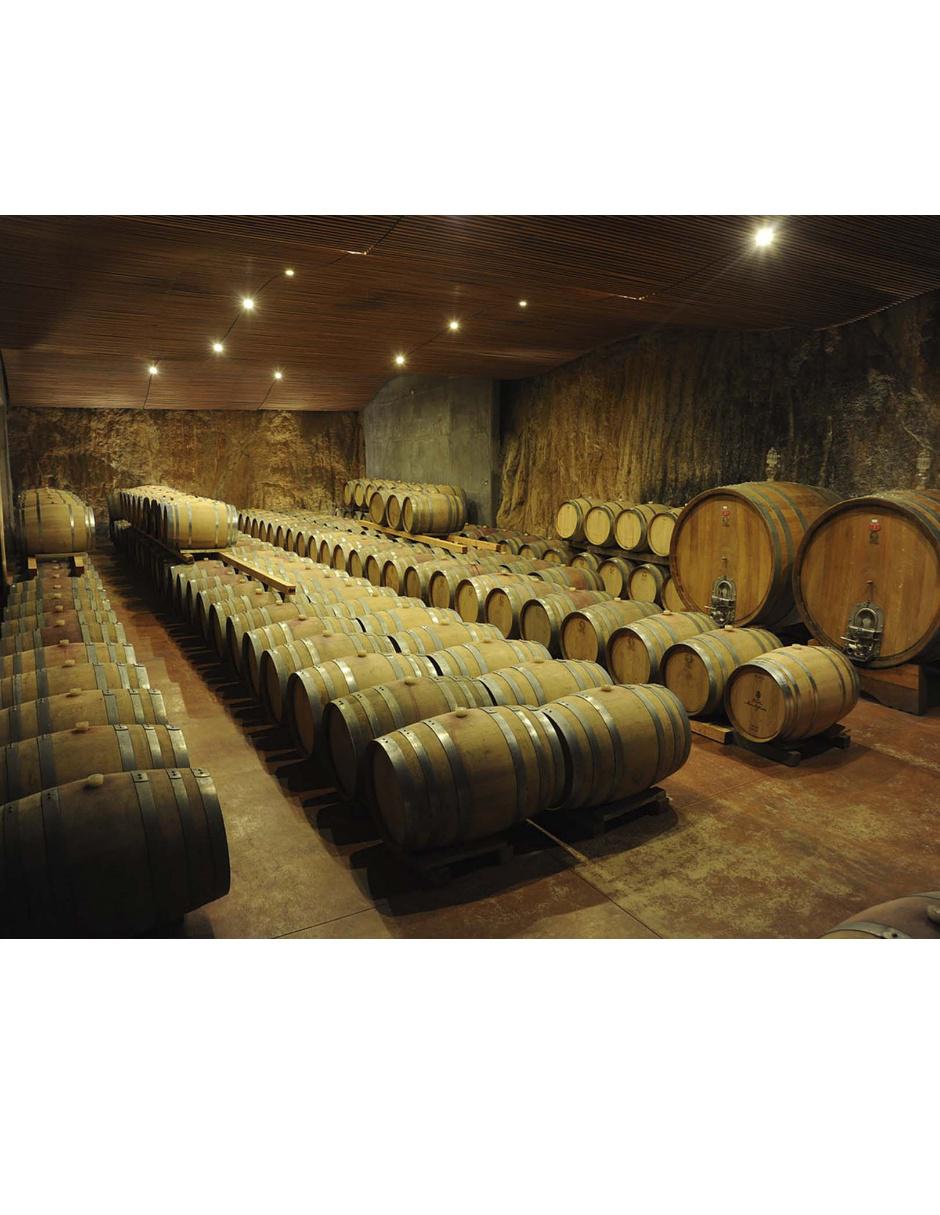 Vino Tinto cabernet-syrah 750 ml 4