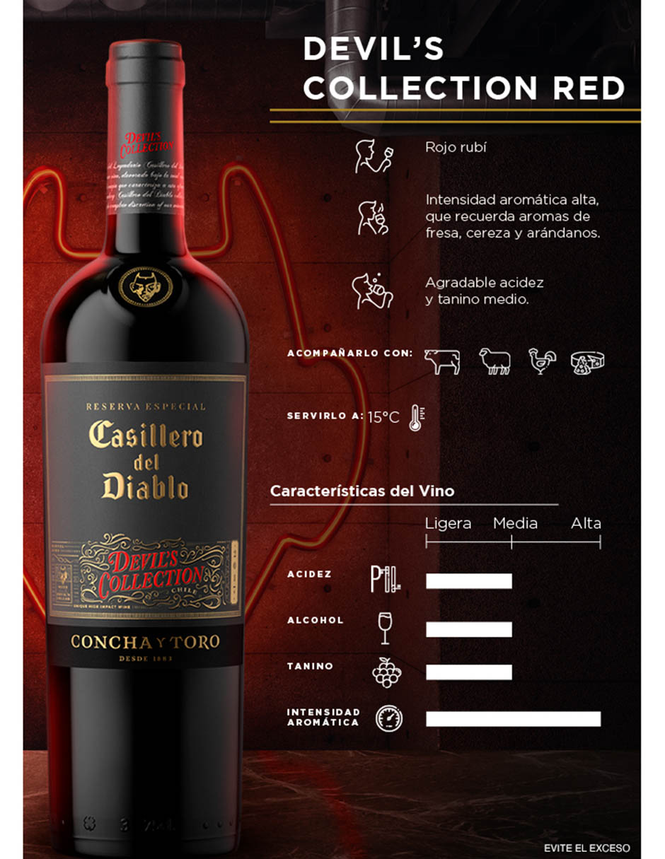 Vino tinto cabernet-syrah 750 ml 2