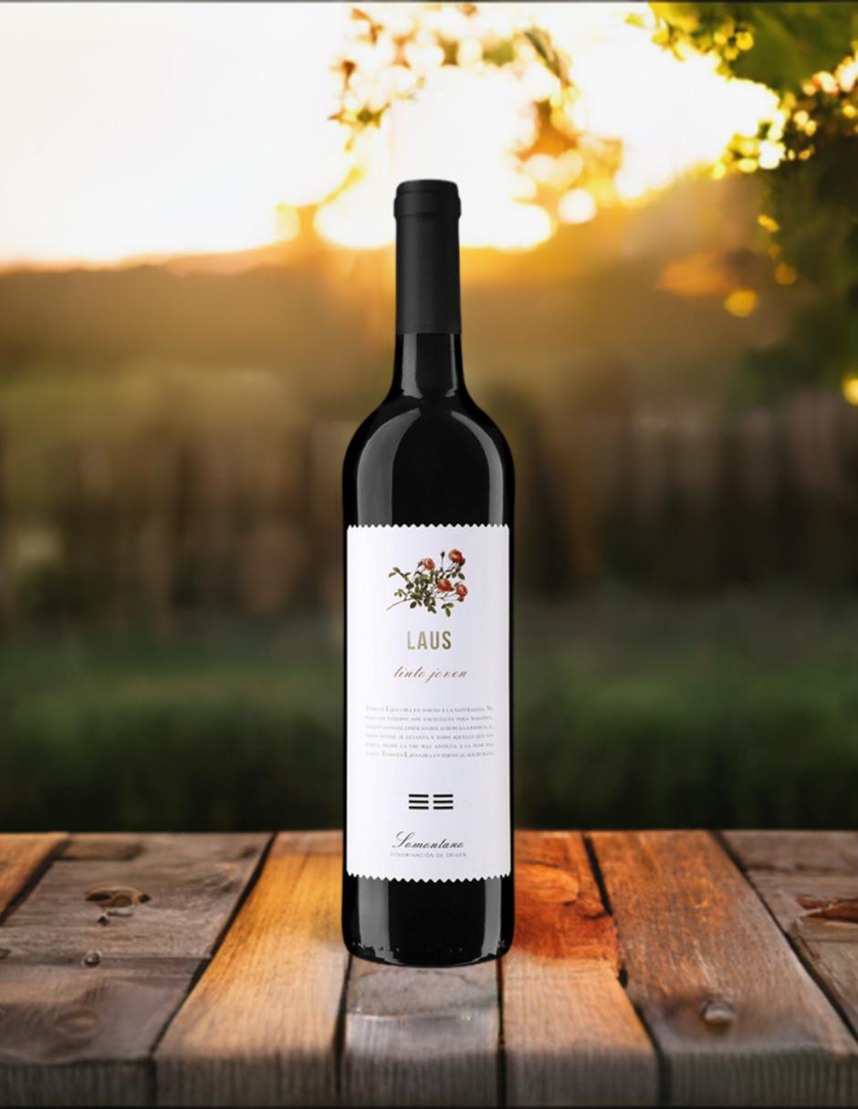 Vino tinto merlot 750 ml 6