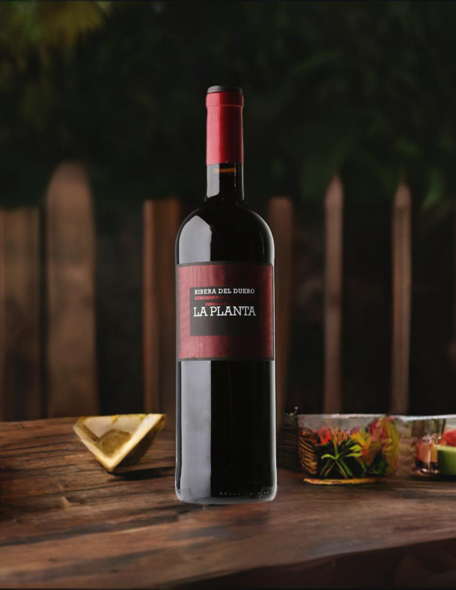 Vino tinto tempranillo 2