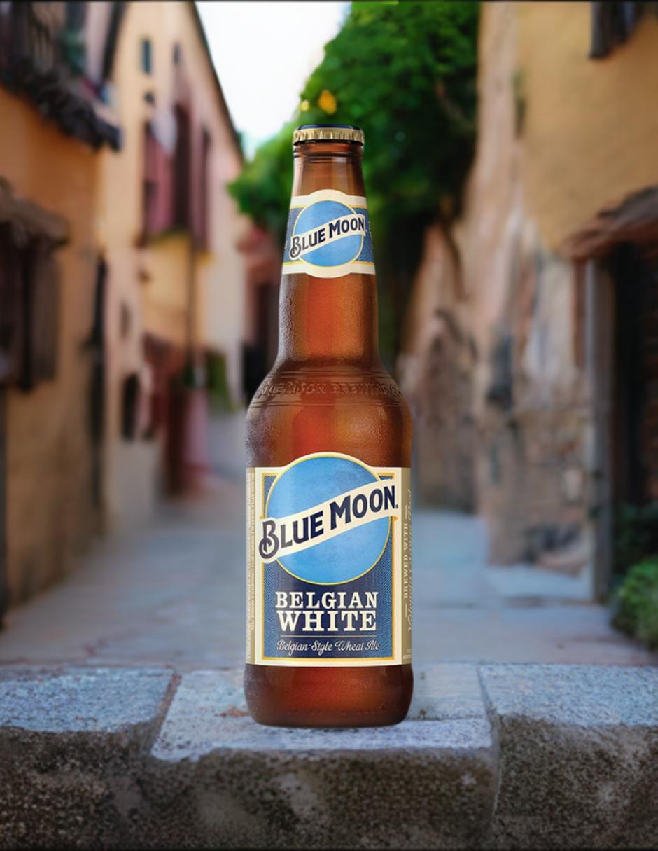 Cerveza clara artesanal 355 ml 2
