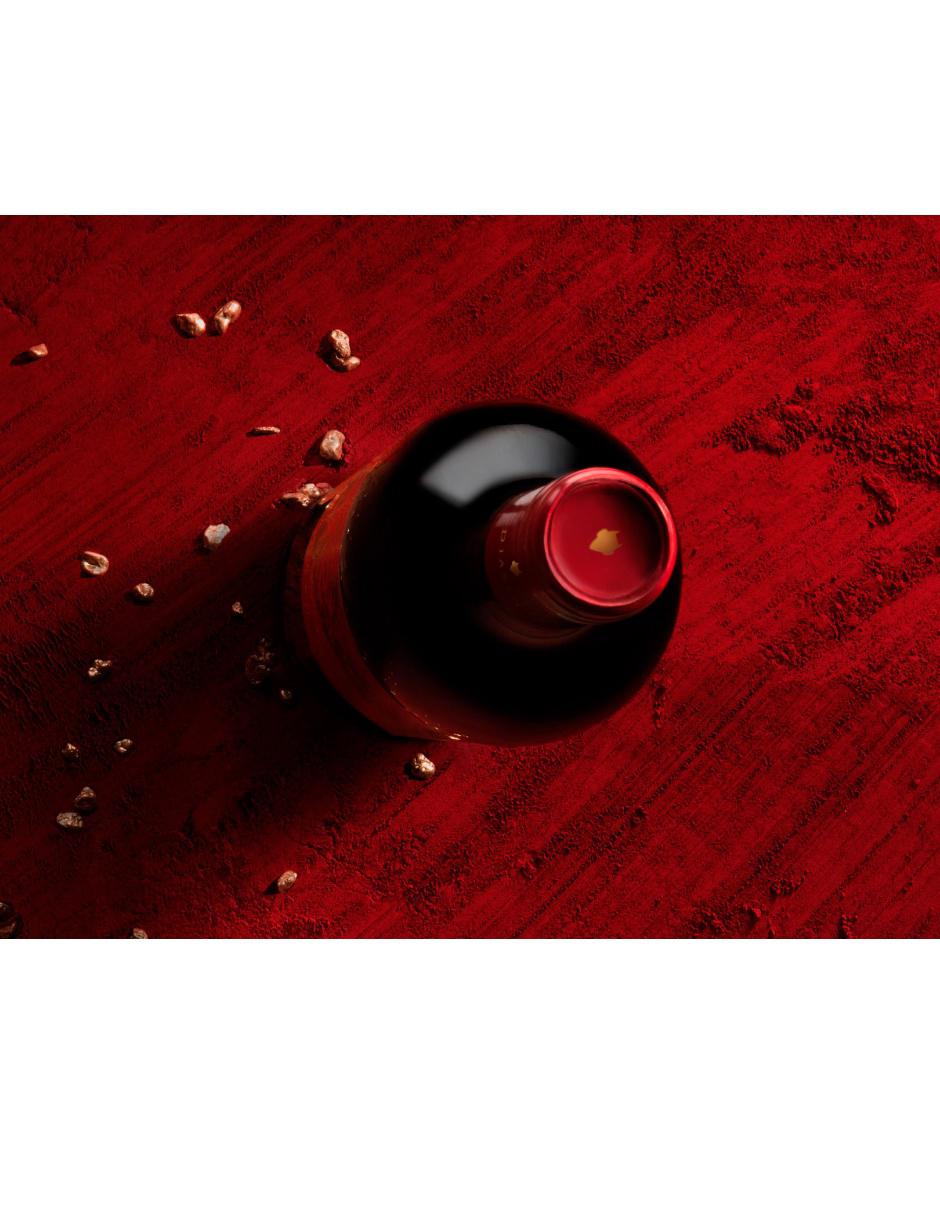 Vino tinto 750 ml 2