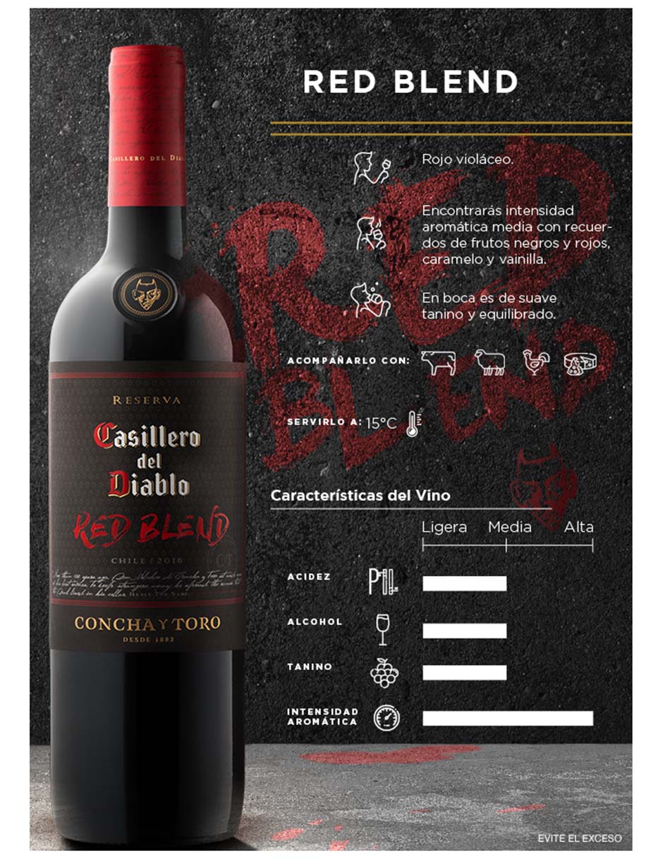 Vino tinto merlot 750 ml 2