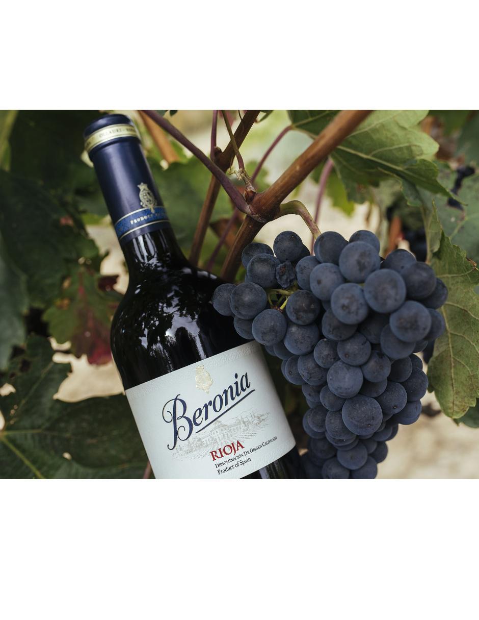 Vino tinto tempranillo 2