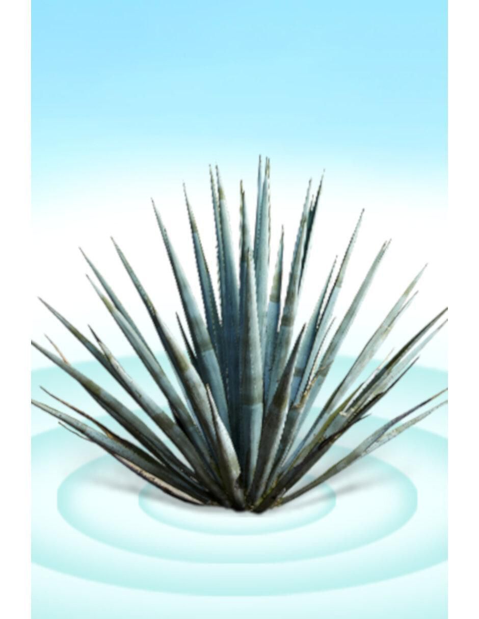 Tequila tipo Reposado 2 piezas 750 ml c/u 3
