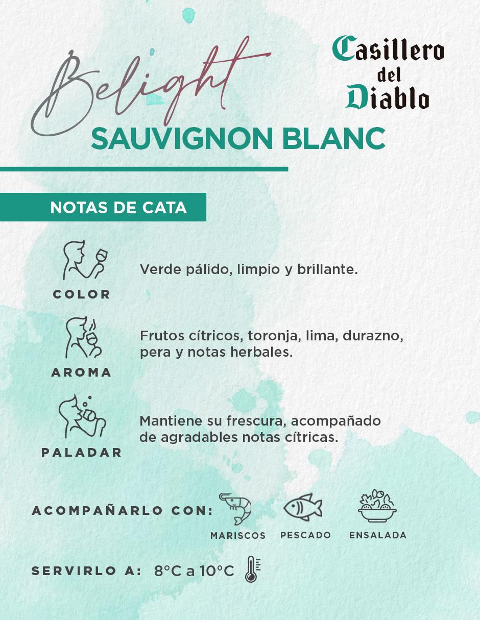 Vino blanco reserva Sauvignon Blanc 750 ml 5