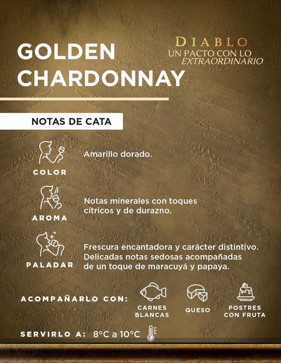 Vino blanco Golden Chardonnay 750 ml 5