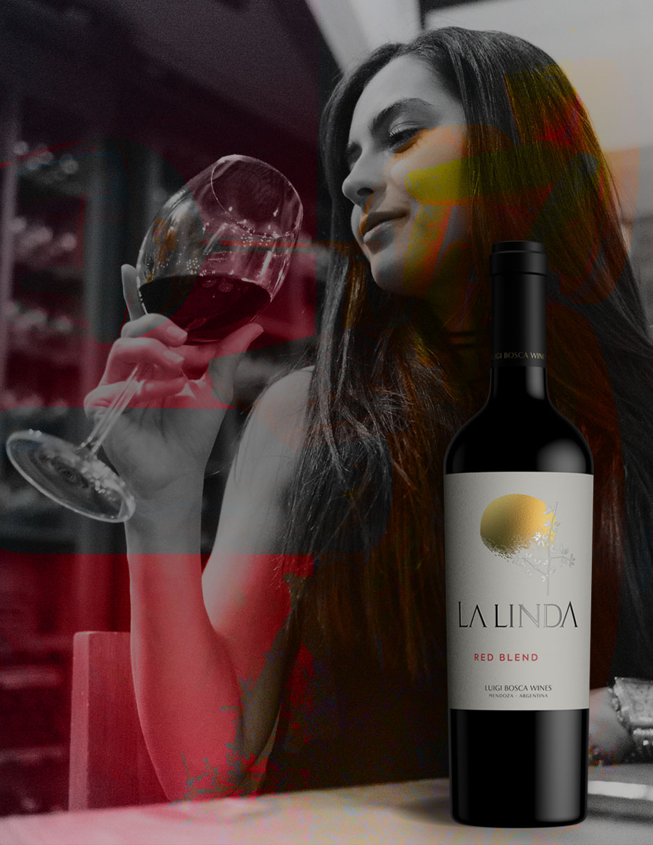 Vino tinto La Linda malbec 750 ml 8