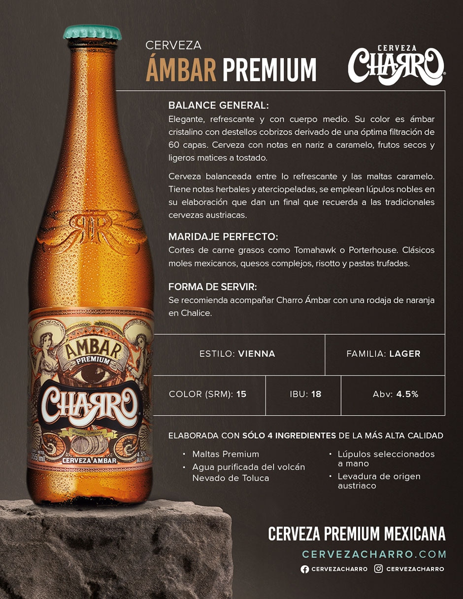 Cerveza clara Premium lager miel 355 ml 2