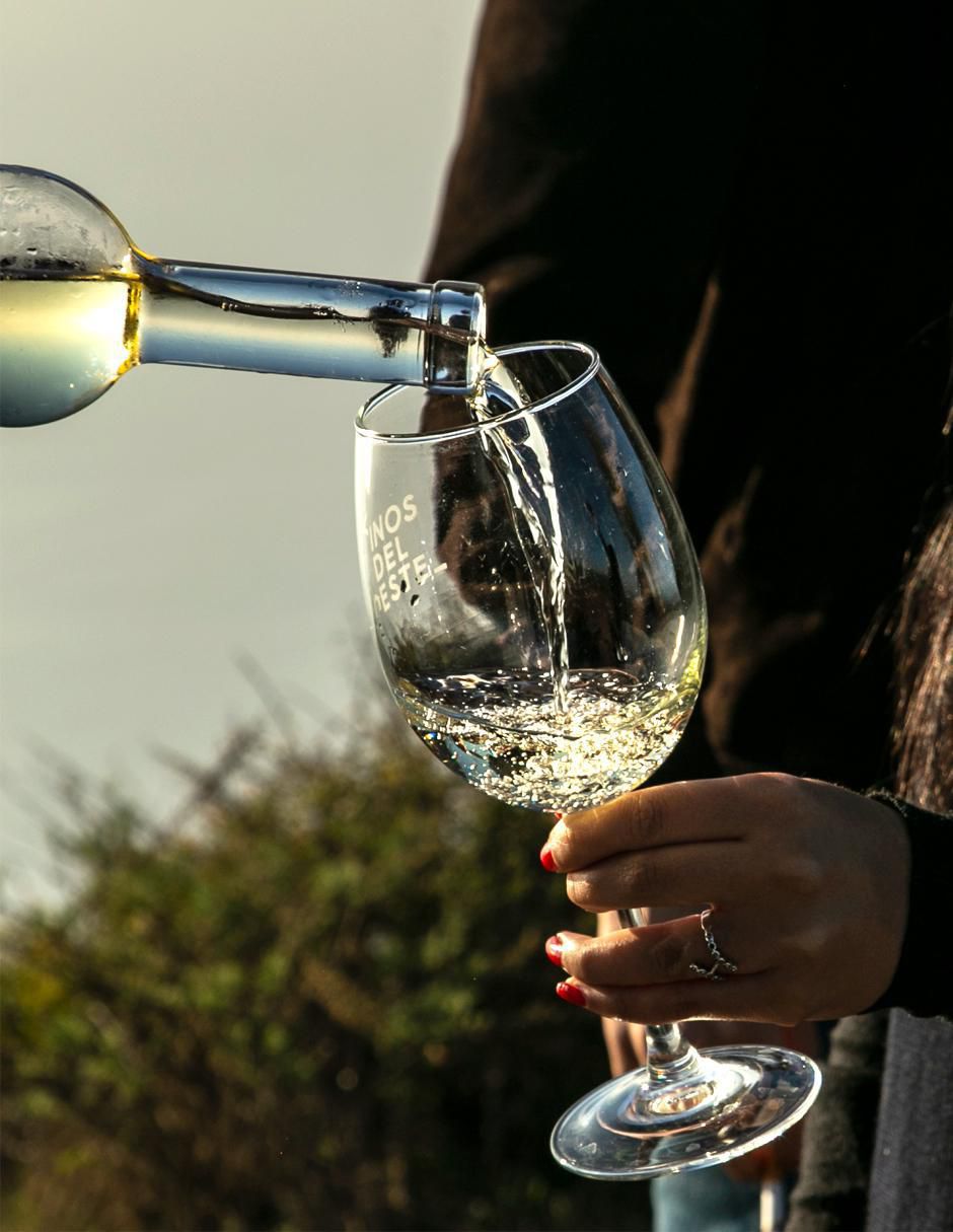 Vino blanco Juego de Pelota 01 riesling 750 ml 6