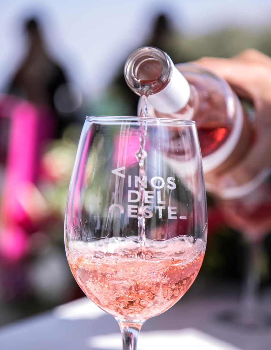 Vino rosado varietal semi seco Juego de pelota 03 750 ml 6