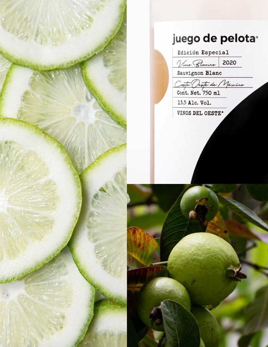 Vino blanco Juego de Pelota Edición Especial sauvignon blanc 5