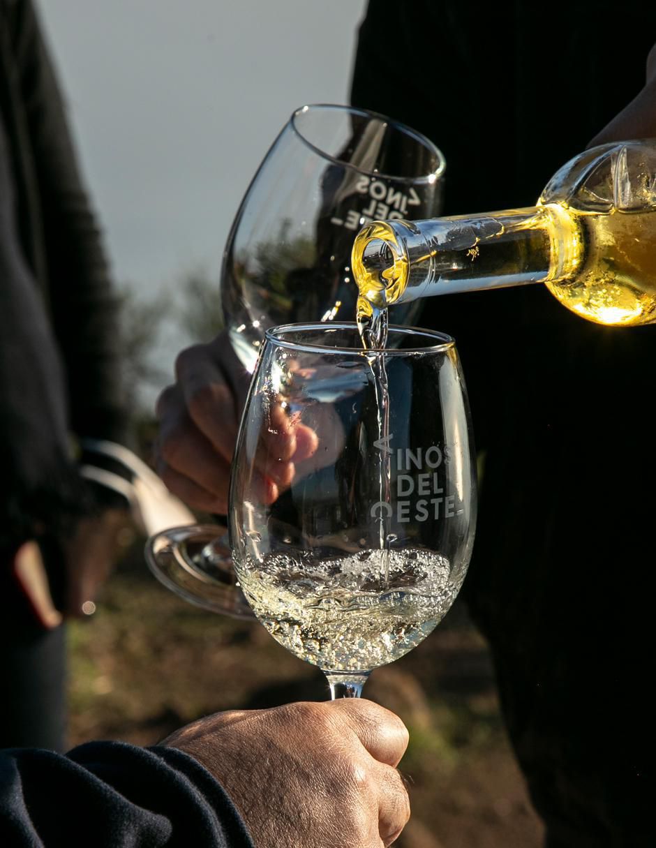 Set vino blanco Juego de Pelotas Edición Especial sauvignon blanc 7