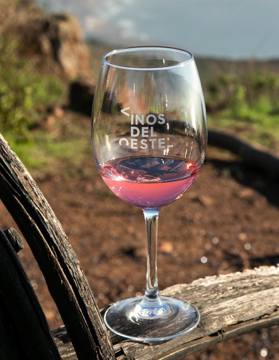 Set vino rosado varietal seco Juego de Pelota 04 pinot noir 750 ml 8