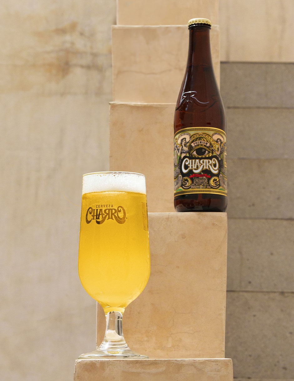 Set de cerveza 2 pack 355 ml 10