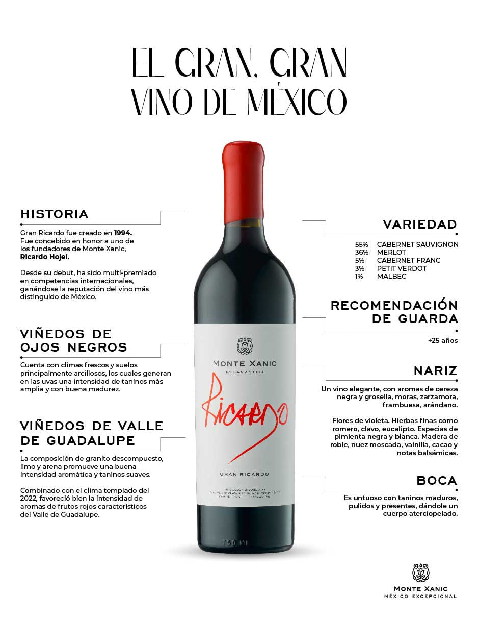 Vino tinto Gran Ricardo cabernet sauvignon 750 ml 3