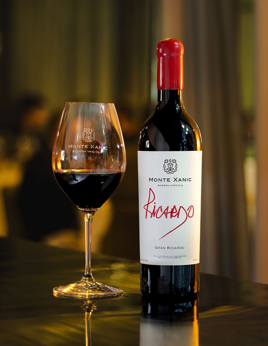 Vino tinto Gran Ricardo cabernet sauvignon 750 ml 4
