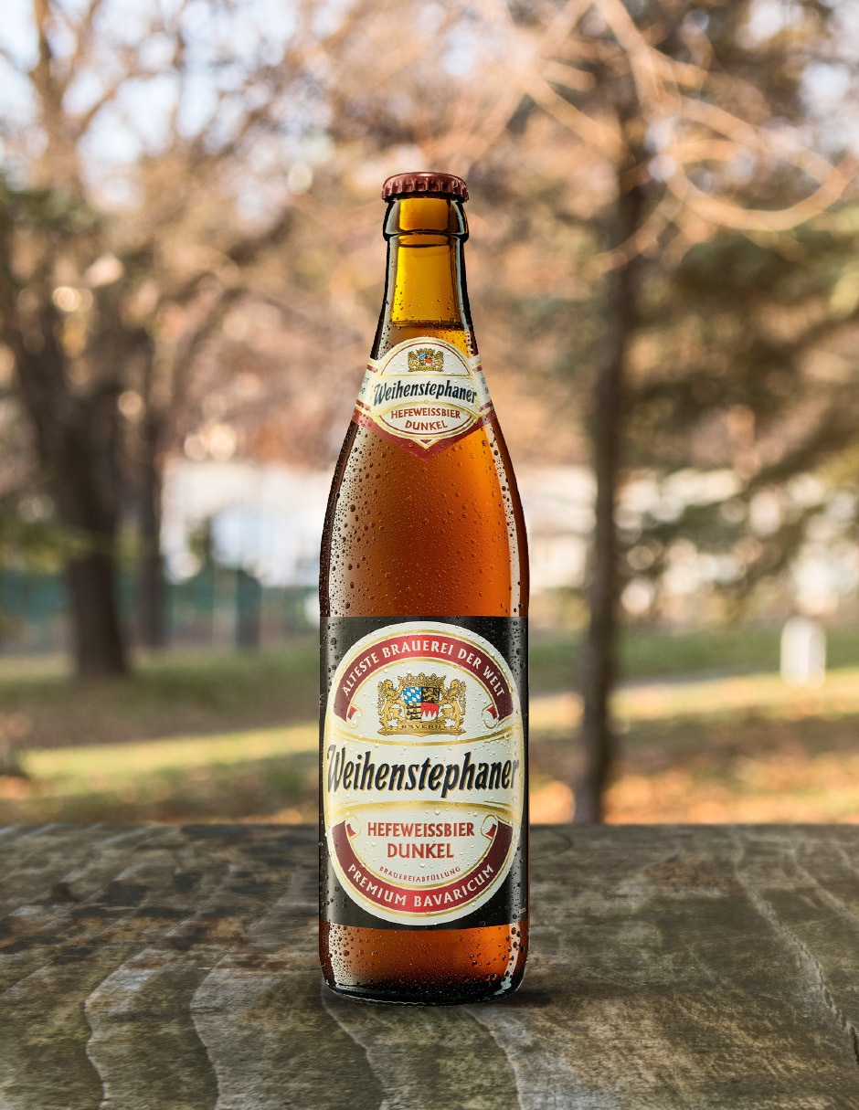 Cerveza obscura tostado 3