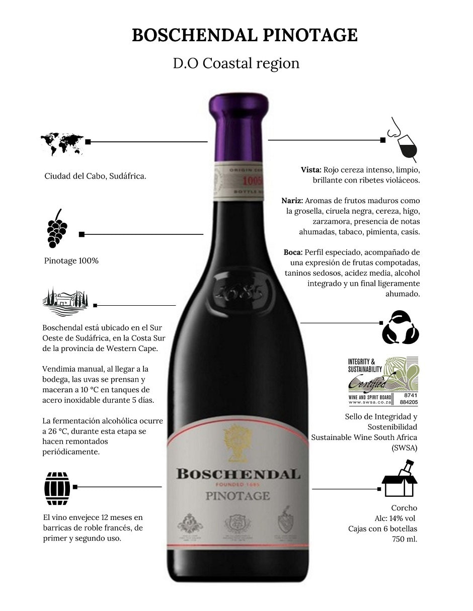 Vino tinto pinotage 750 ml 3