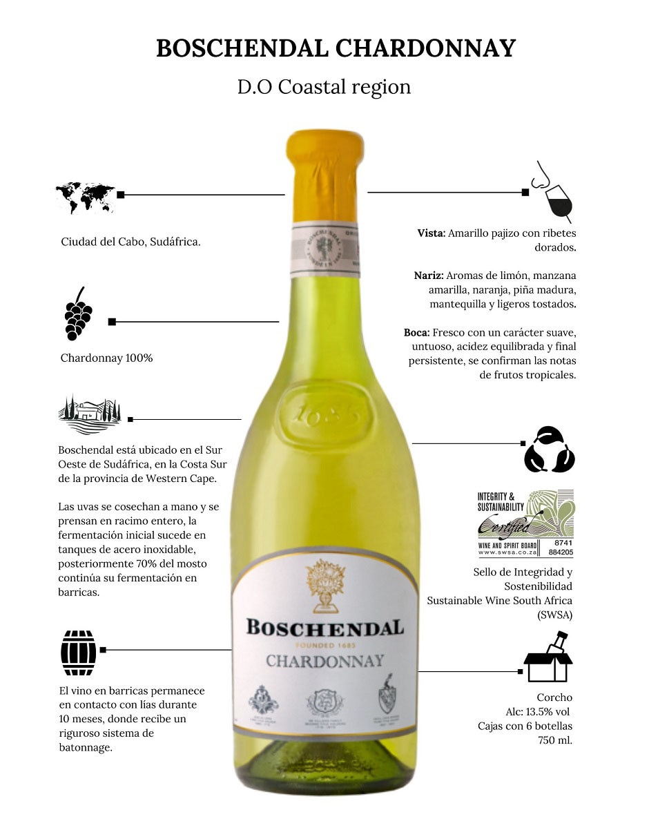 Vino blanco chardonnay 750 ml 3