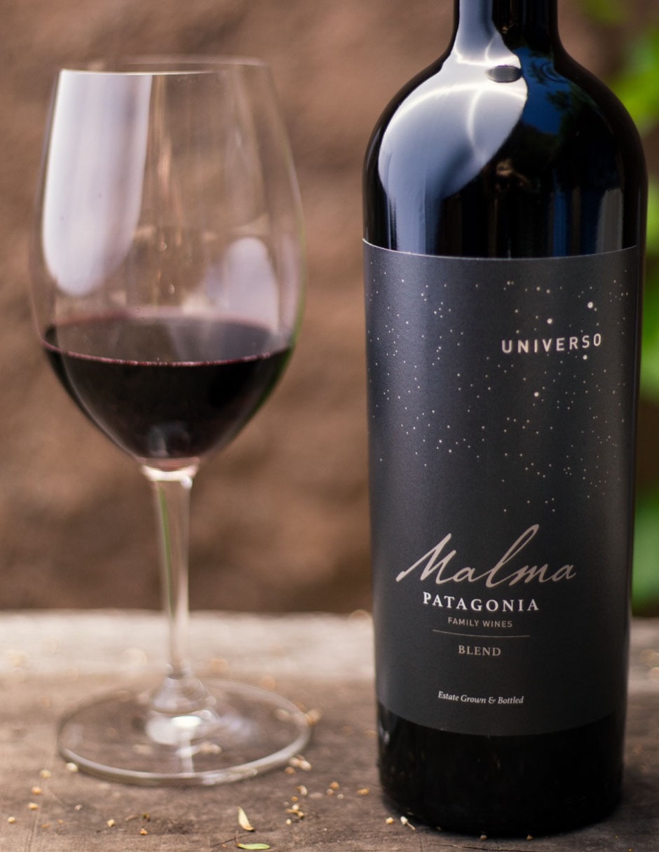 Vino tinto malbec 750 ml 2
