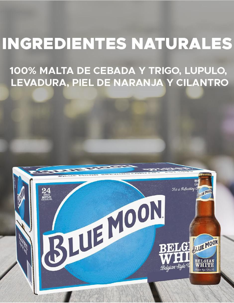 Set de cerveza lager herbal y cítrico 12 pack 355 ml 3