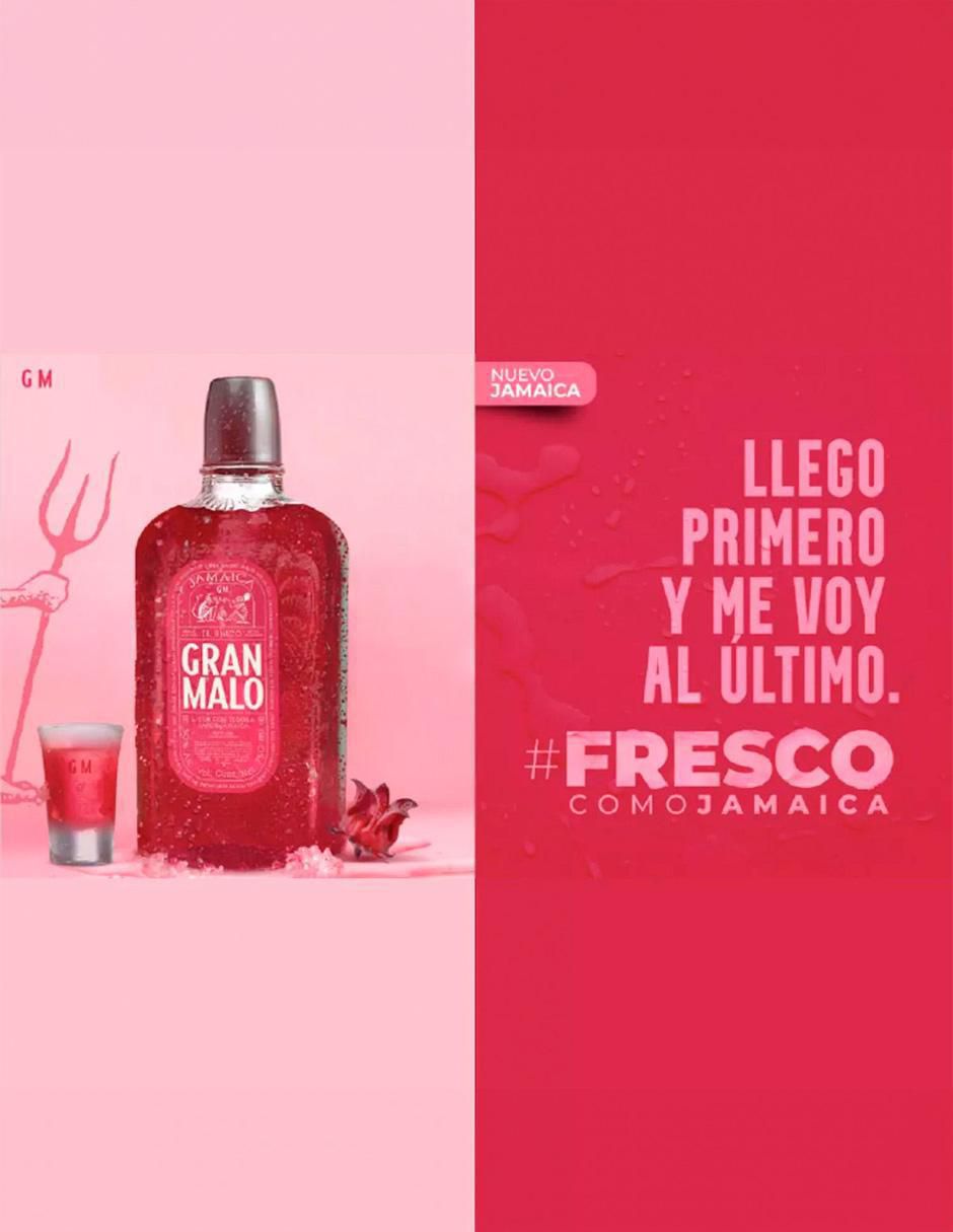 Licor de tequila sabor jamaica 750 ml 2