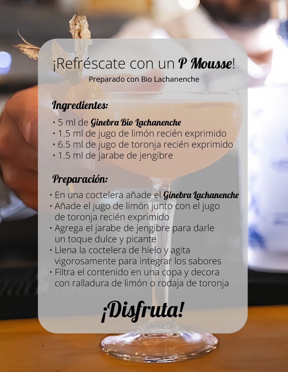 Ginebra 700 ml 8