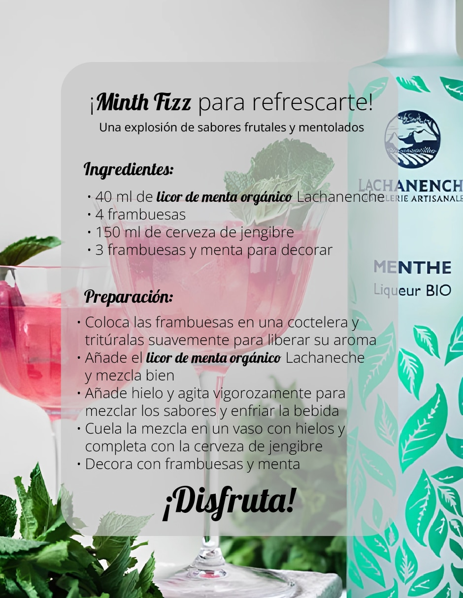 Licor digestivo de menta 500 ml 5